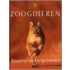 Zoogdieren Soorten en leefgebieden