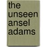 The Unseen Ansel Adams
