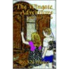 The Wingate Adventures by S.N. Washer