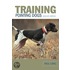 Training Pointing Dogs