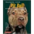 Training Your Pit Bull