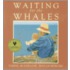 Waiting For The Whales