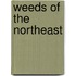 Weeds Of The Northeast