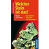 Welcher Stein ist das?