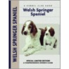 Welsh Springer Spaniel door Haja Van Wessem