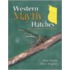 Western Mayfly Hatches