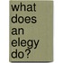 What Does An Elegy Do?