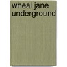 Wheal Jane Underground door K.T. Riekstins