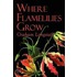 Where Flamelilies Grow