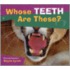 Whose Teeth Are These?