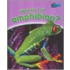 Why Am I An Amphibian?