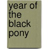 Year of the Black Pony by Walter Morey