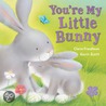 You'Re My Little Bunny by Claire Freedman