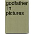 Godfather  In Pictures
