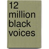 12 Million Black Voices door Richard Wright