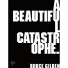 A Beautiful Catastrophe door Bruce Gilden