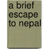 A Brief Escape to Nepal