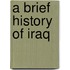 A Brief History Of Iraq