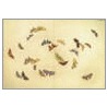 A Flight of Butterflies door Kanzaka Sekka