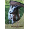 Dwerggeiten