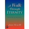 A Walk Through Eternity door Jesus Iii Meza