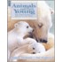 Animals and Their Young