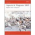 Aspern And Wagram, 1809