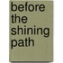 Before The Shining Path