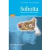 Sobotta by Reinhard Putz