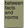 Between Facts And Norms door P. Borry