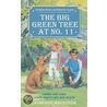 Big Green Tree at No.11 door Catherine Mackenzie