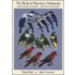 Birds North Melanesia C