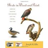 Birds in Wood and Paint by Joseph H. Ellis