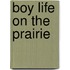 Boy Life On The Prairie