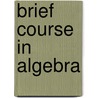 Brief Course In Algebra door Raymond Earl Manchester