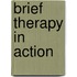Brief Therapy in Action