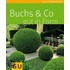 Buchs & Co. gut in Form