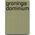 Groninga Dominium