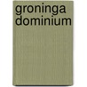 Groninga Dominium door P.H. Wijk
