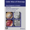 Color Atlas Of Otoscopy by Mario Sanna