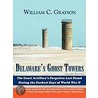 Delaware's Ghost Towers door William C. Grayson