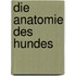 Die Anatomie des Hundes