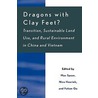 Dragons With Clay Feet? door Nico Heerink