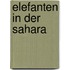 Elefanten in der Sahara