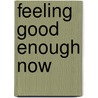 Feeling Good Enough Now door Barbara Rose