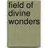 Field of Divine Wonders