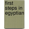 First Steps In Egyptian door Sir E.A. Wallis Budge
