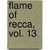 Flame of Recca, Vol. 13