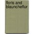Floris And Blauncheflur
