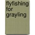 Flyfishing For Grayling